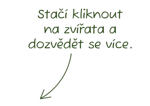 Stačí kliknout na zvíře a dozvíte se více.